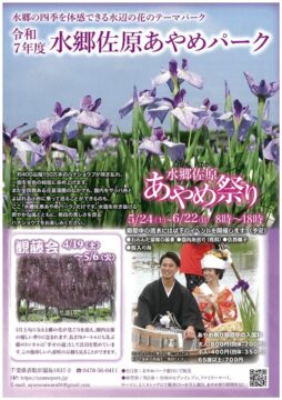 水郷の二大あやめ祭り！今年も開催！ アイチャッチ