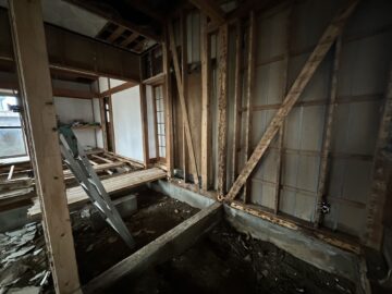 そろそろ気をつけたい、シロアリの季節です。 アイチャッチ