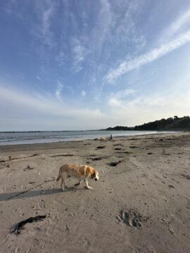 波のない休日も、悪くない。 アイチャッチ