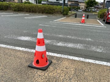 風で倒れないって、すごい！ アイチャッチ