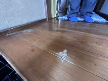 シロアリ被害。意外にもレアケース アイチャッチ シロアリ被害。意外にもレアケース アイチャッチ