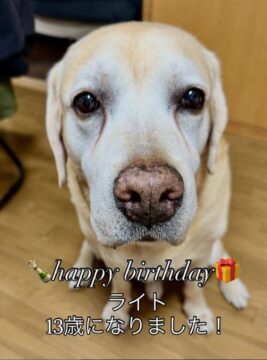 Happybirthday！相棒ライト13歳！ アイチャッチ