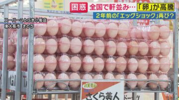 物価が高くて生活できない アイチャッチ