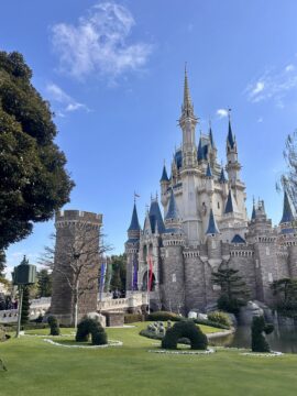 雪のディズニーで感じた家の価値 アイチャッチ