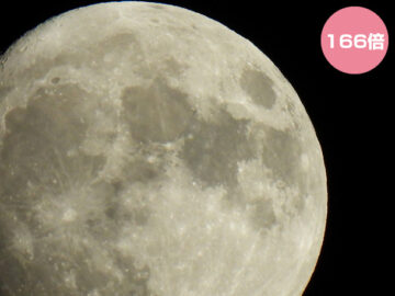 超望遠に学ぶ、選ばれる理由 アイチャッチ