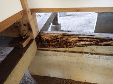 住まいの健康も忘れずに！ アイチャッチ